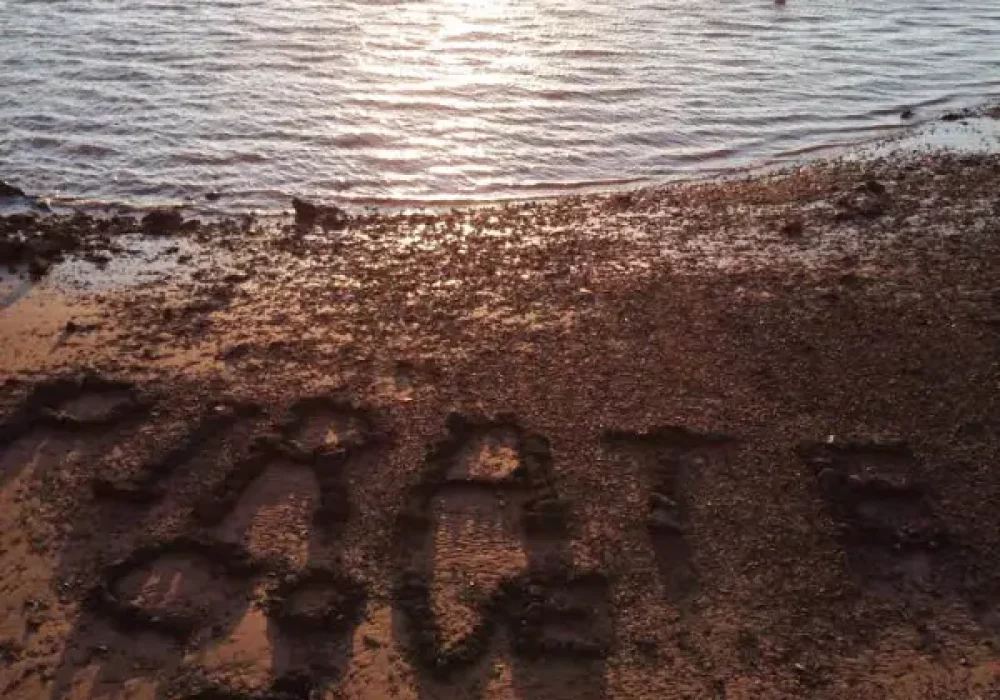 16427402_10154328357358543_8147075283328130019_n-1