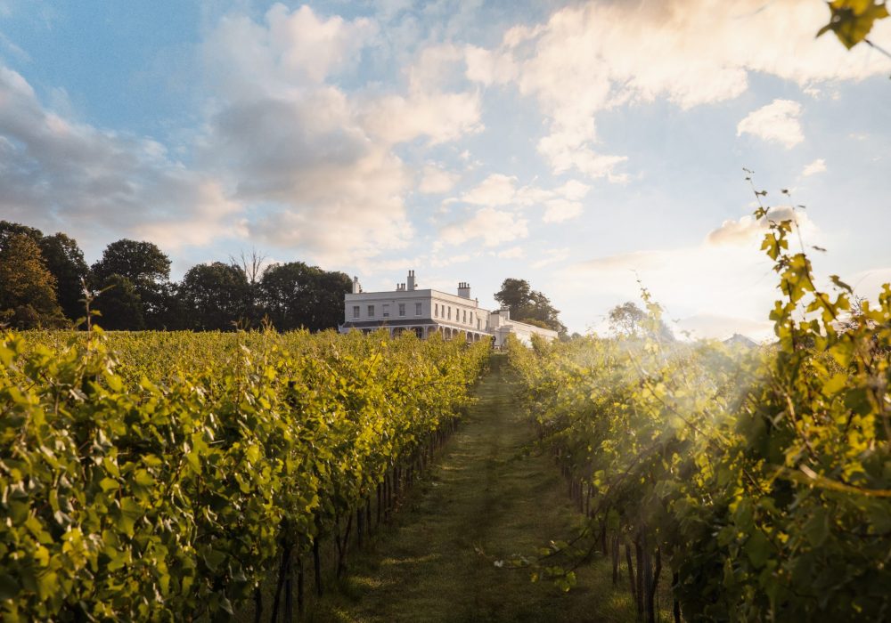 Lympstone Manor Countryside