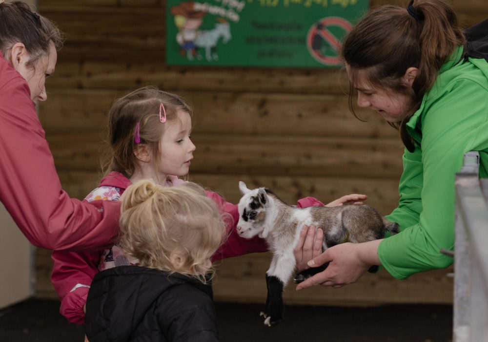 World of Country Life