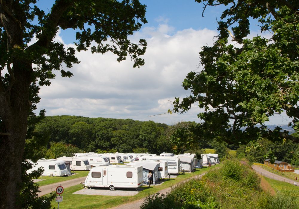 Castle brake