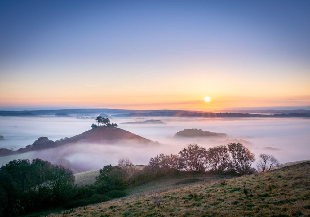 Foggy sunrise at Colmer's Hill, Dorset SW660