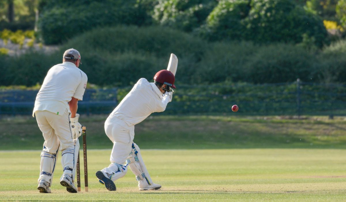 Cricket