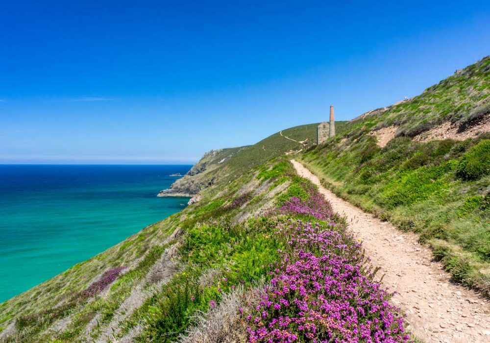 Wheal Coates, SW660