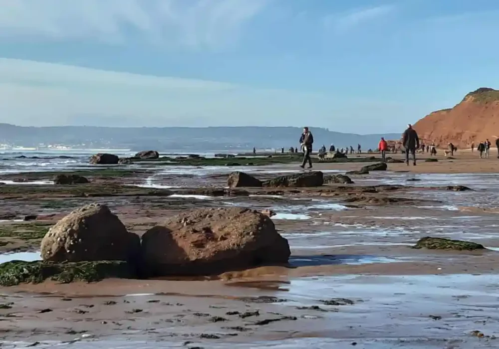 Exmouth-Beach-2022-view-from-Devon-Cliffs