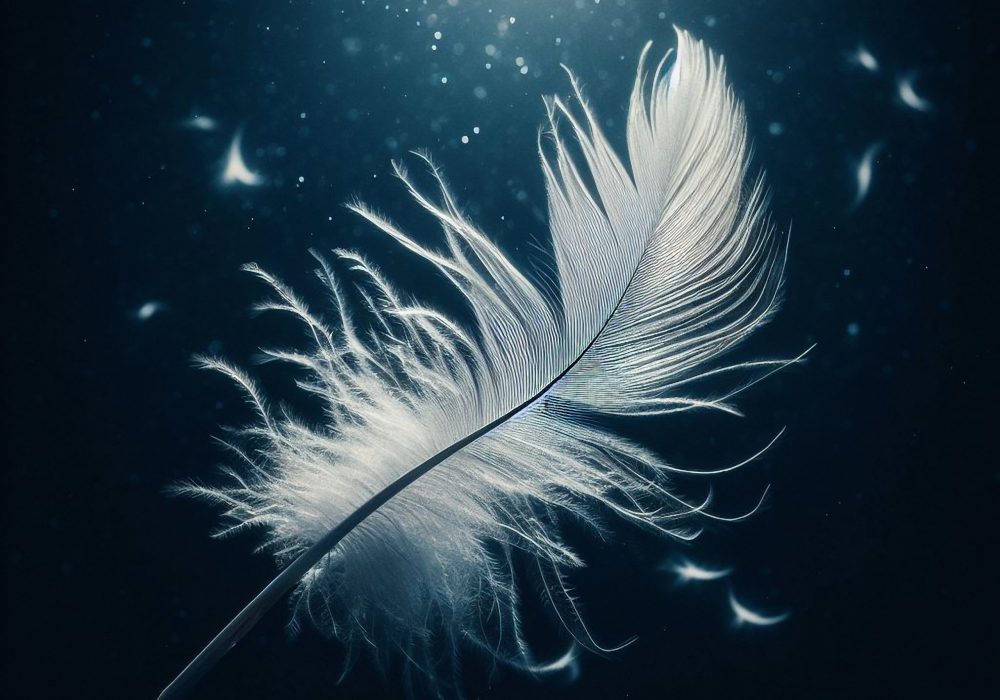 Feather