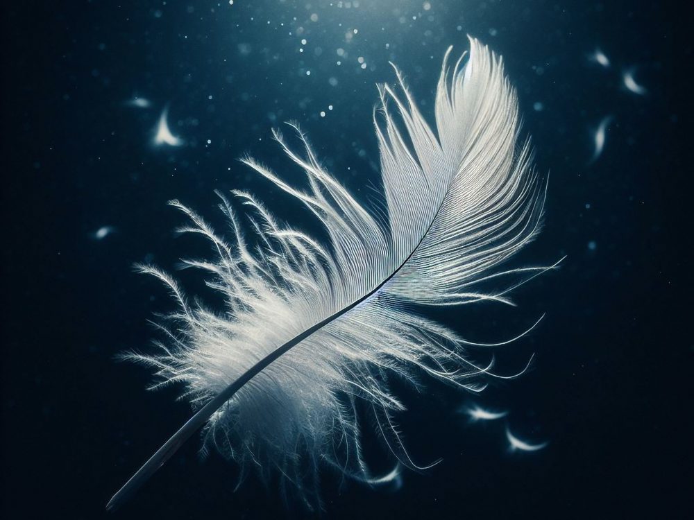 Feather
