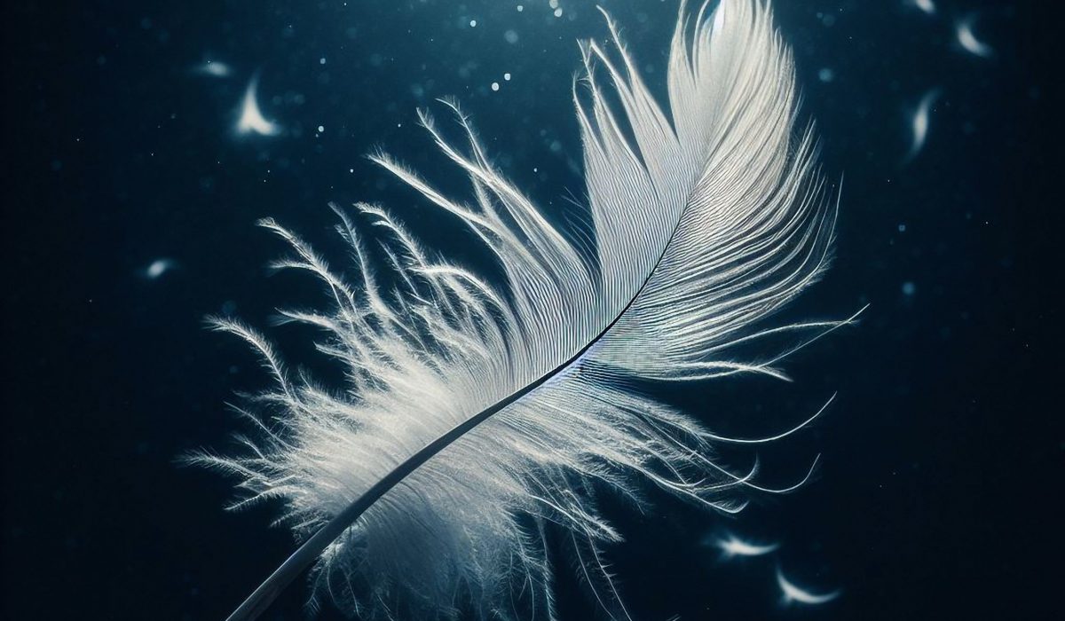 Feather