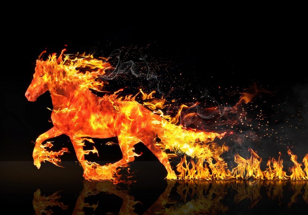 Fire Horse