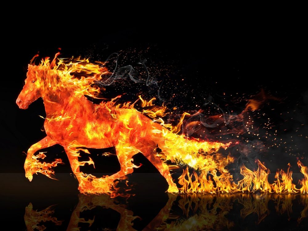 Fire Horse