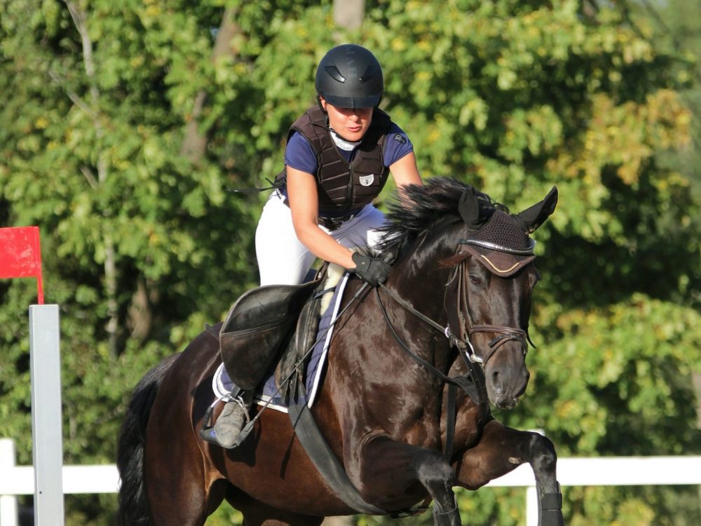 Horse 2