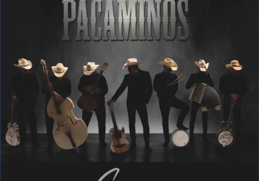Pacaminos