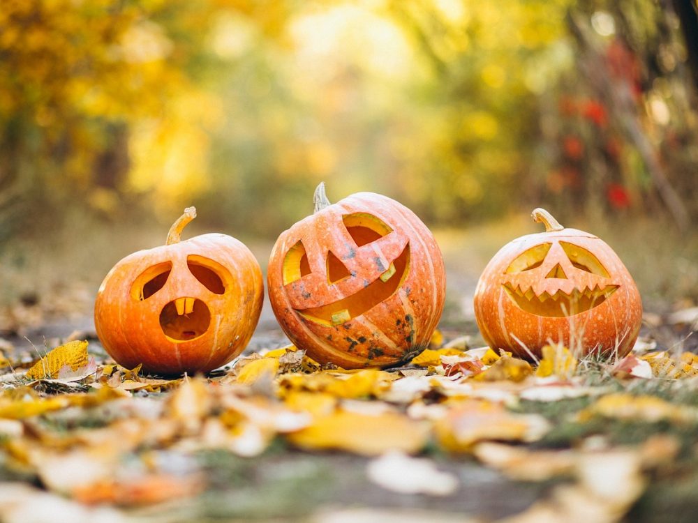 Pumkin 5