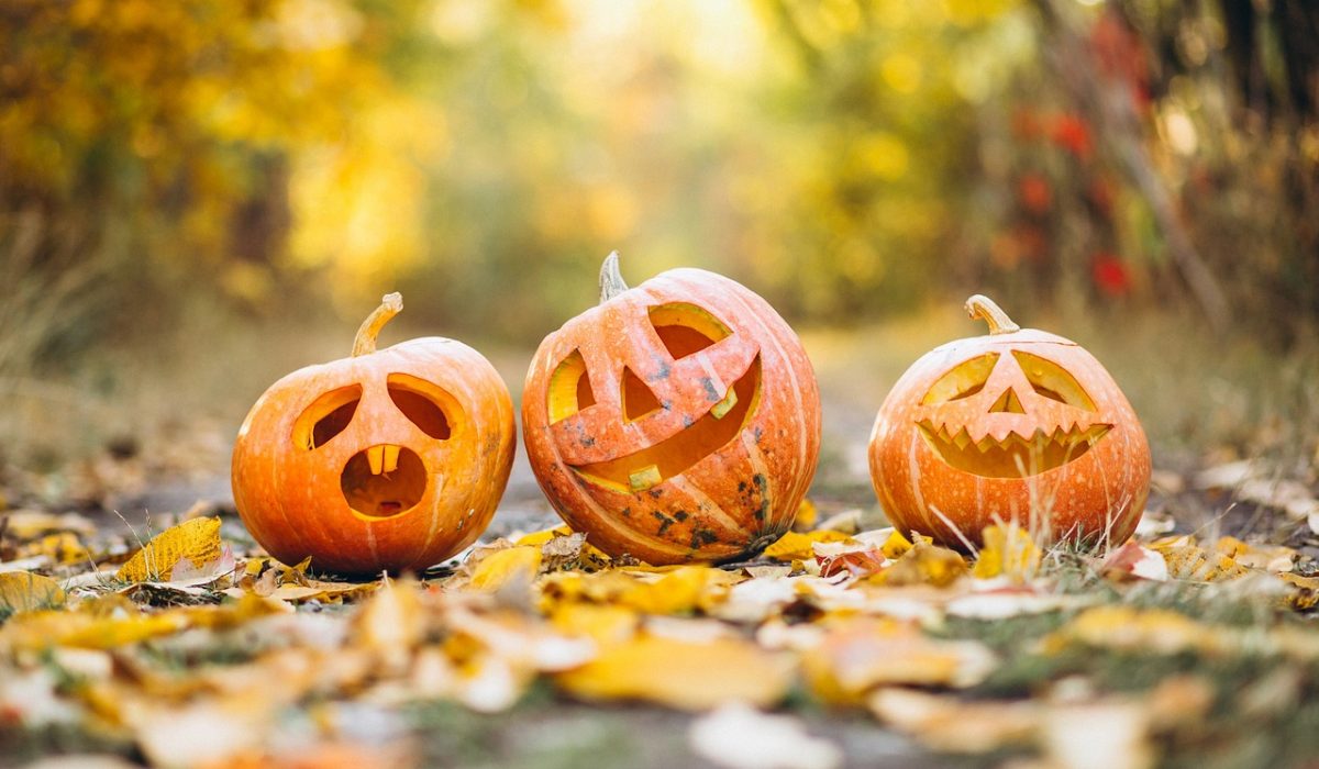 Pumkin 5