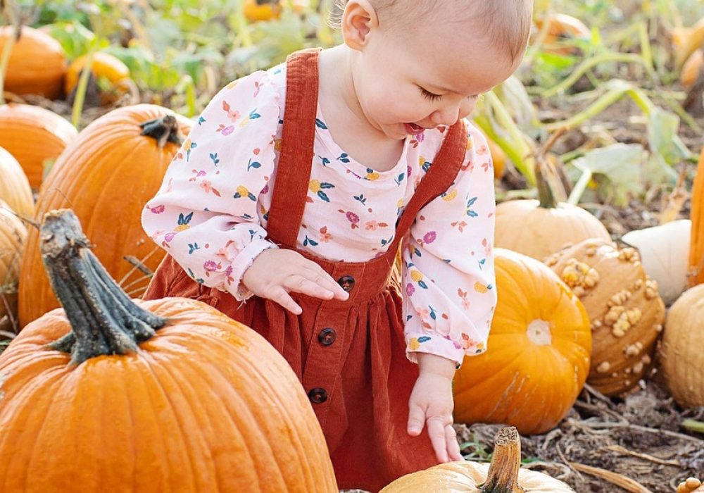Pumpkin 2