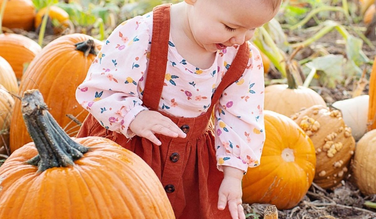 Pumpkin 2