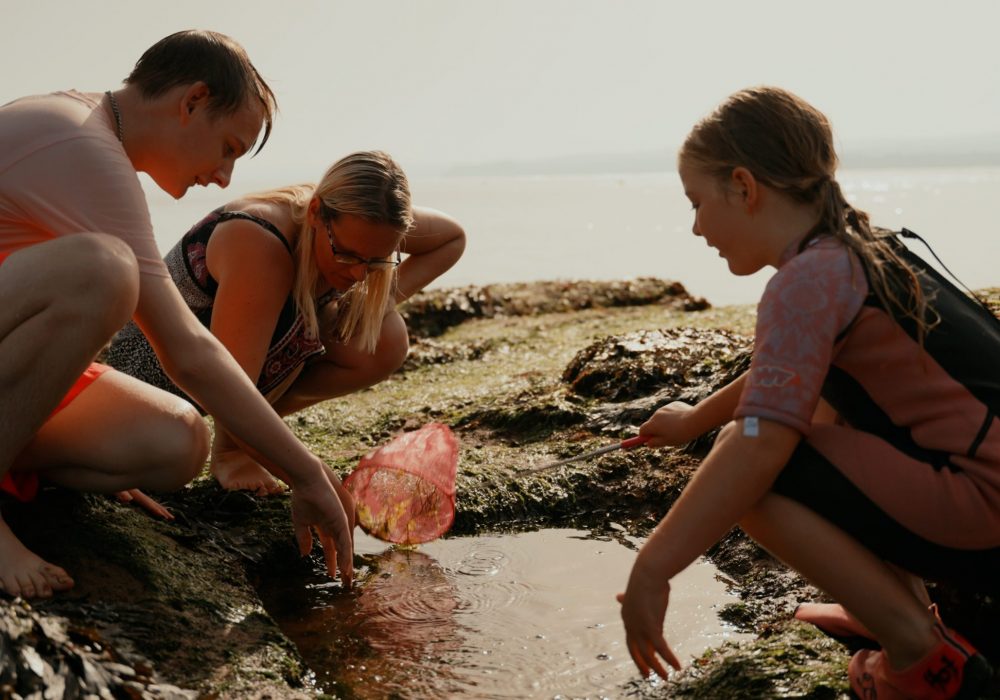 Sequence 01.00_32_39_00.Still129