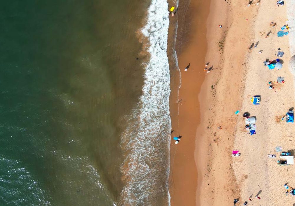 Sequence 01.00_41_13_23.Still161