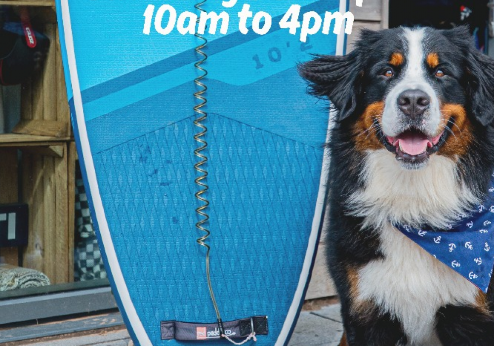 Sit_Stay_Sideshore___1_