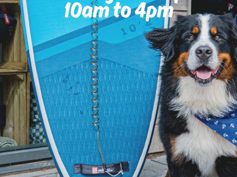 Sit_Stay_Sideshore___1_