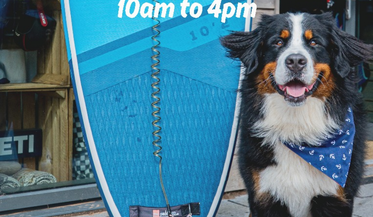 Sit_Stay_Sideshore___1_