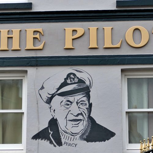 The Pilot