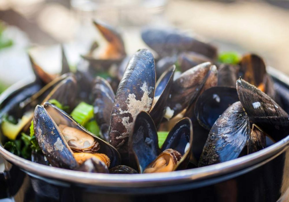 mussels