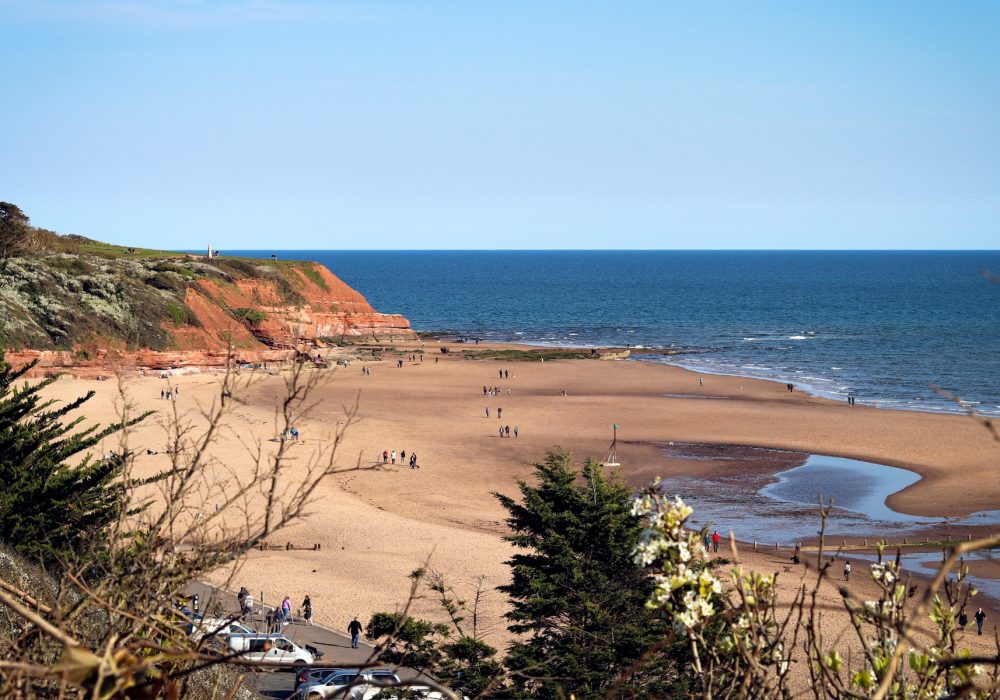 VE Blog - 2026 Staycation