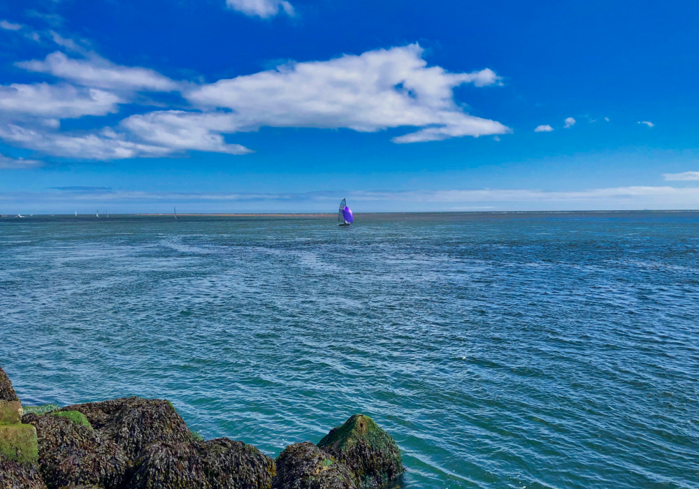 VE Blog - Budget Days Out