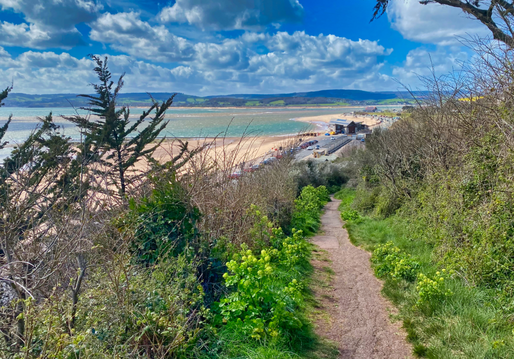 Walking the Coast Blog