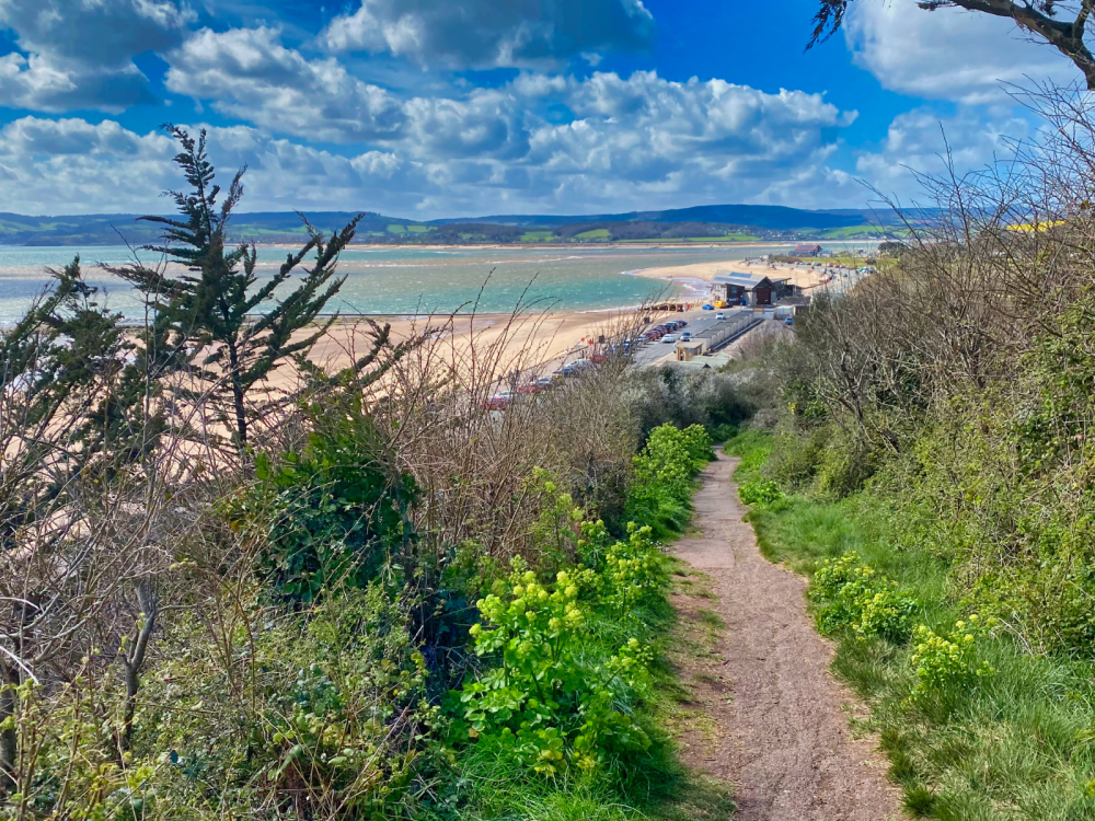 Walking the Coast Blog