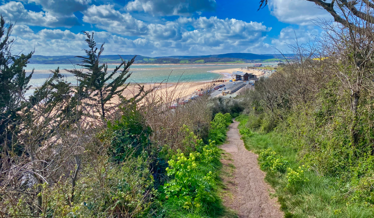 Walking the Coast Blog