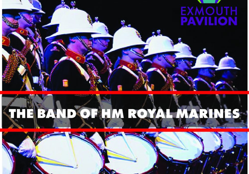 hm royal marines