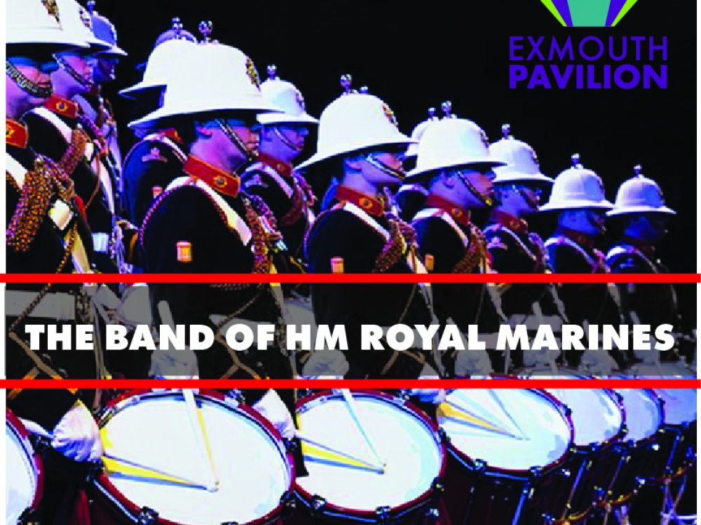 hm royal marines